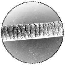 Hair_Strand_Magnified-sm